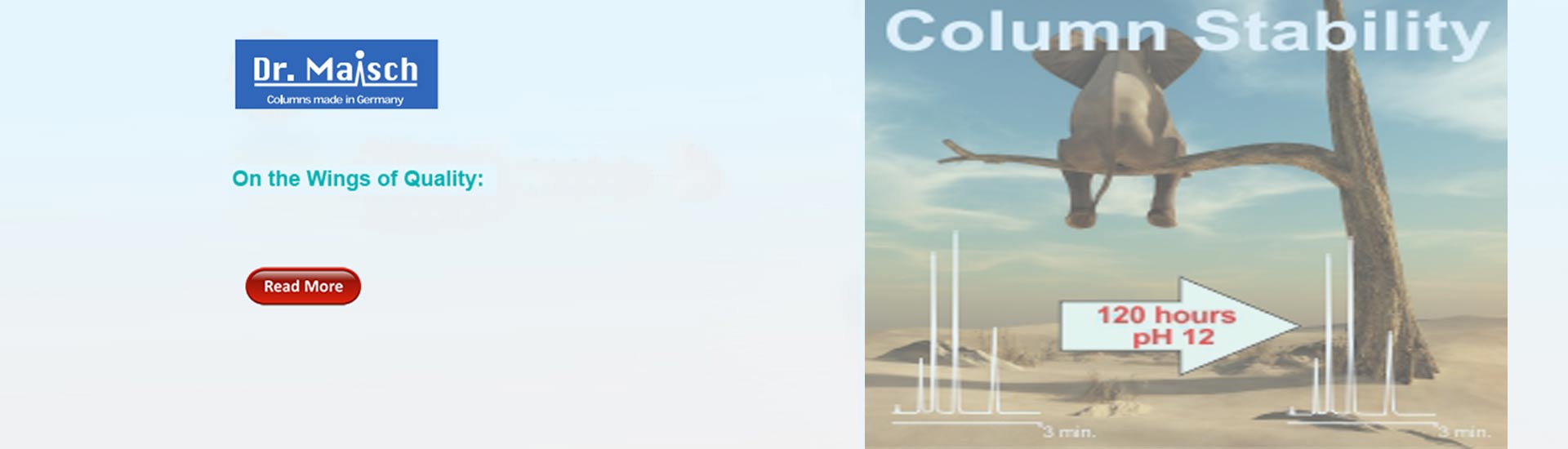 5 GC Column